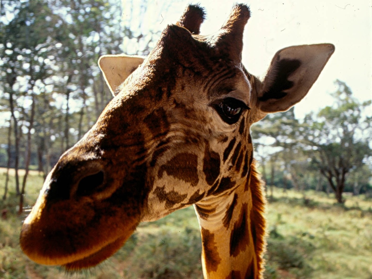 placeholder image sq