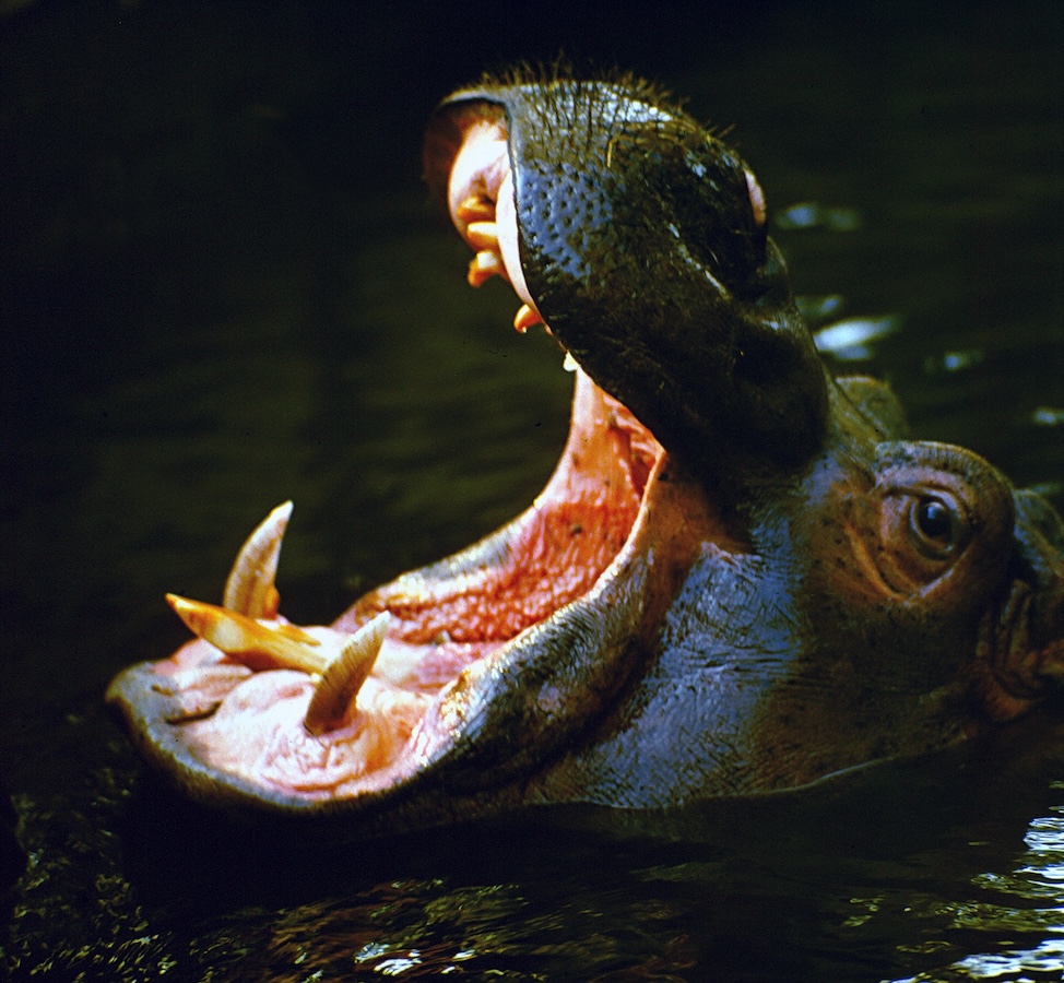 placeholder image sq