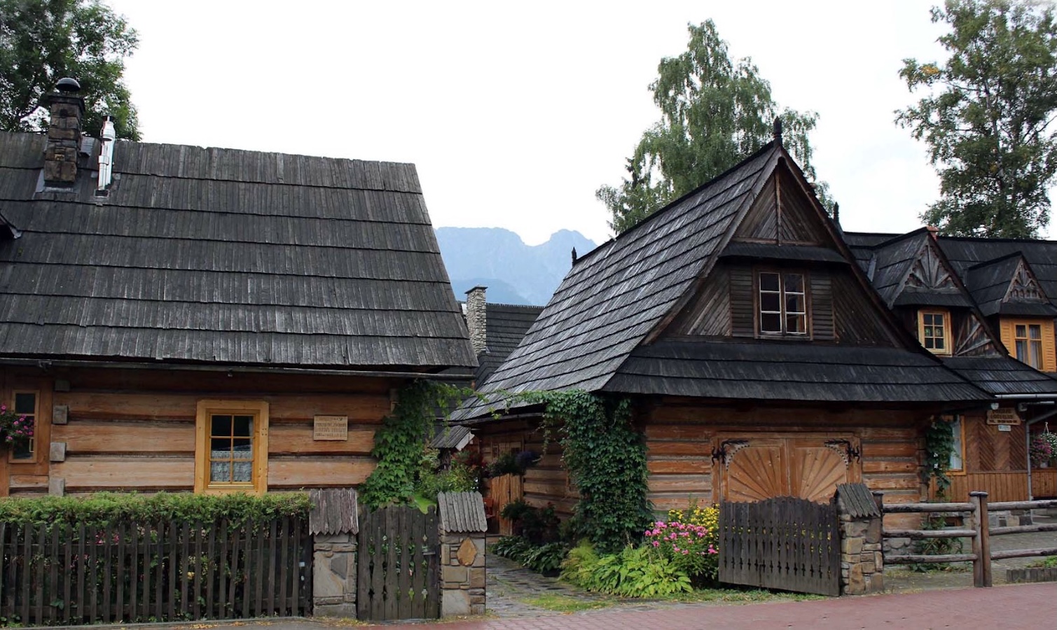 placeholder image sq