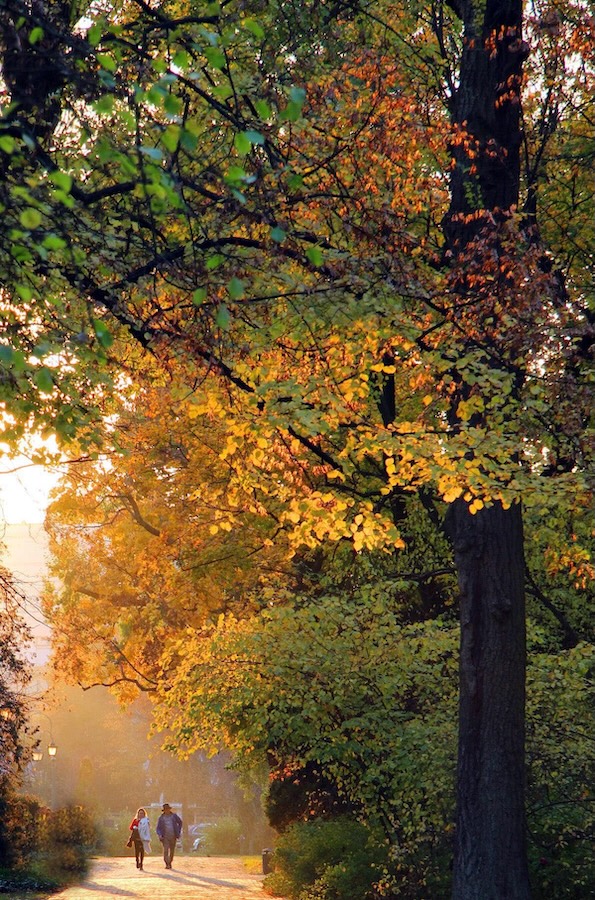 placeholder image sq