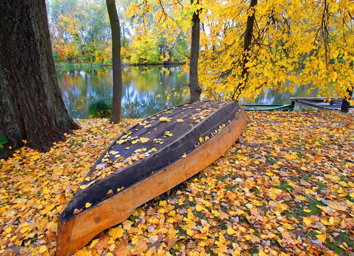 placeholder image sq