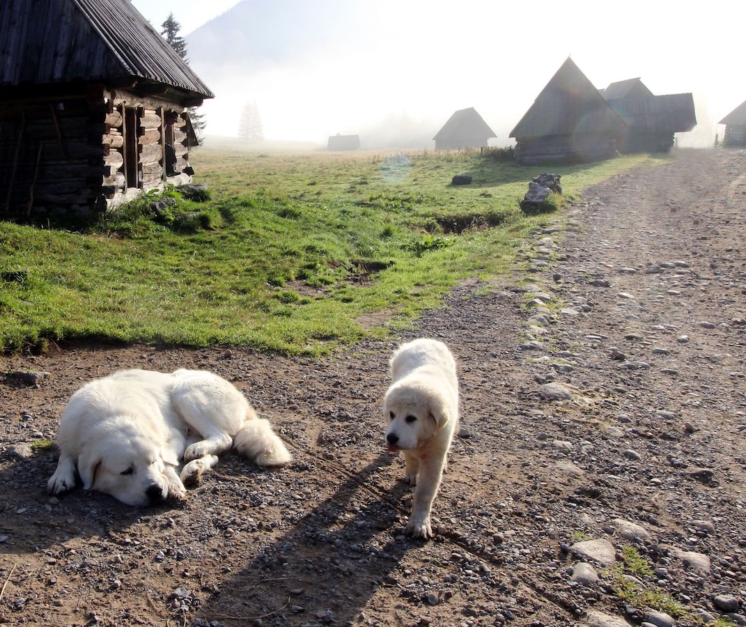 Tatry 25