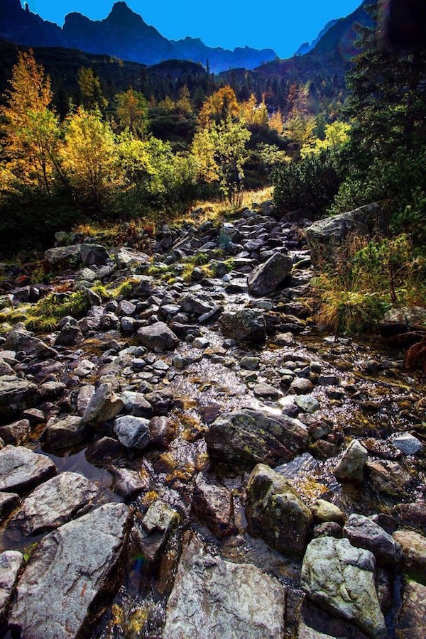 Tatry 15